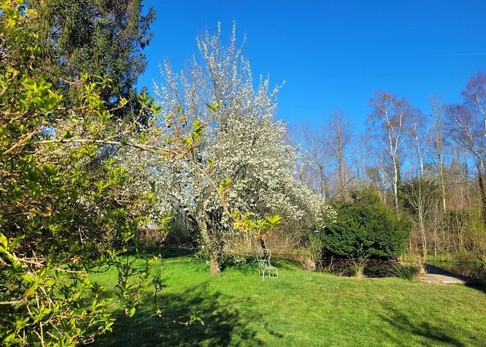 Holiday home Renoviertes In Der Naehe Von Cabourg-deauville-lisieux By Interhome