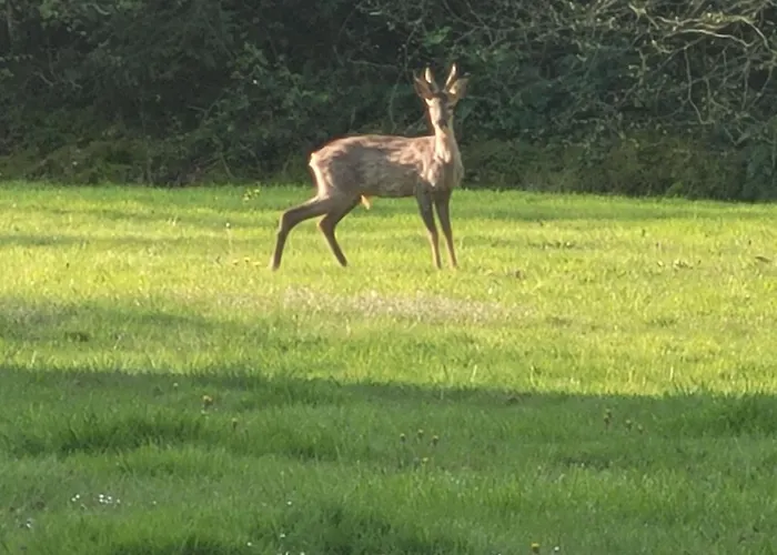 Renoviertes In Der Naehe Von Cabourg-deauville-lisieux By Interhome Leaupartie